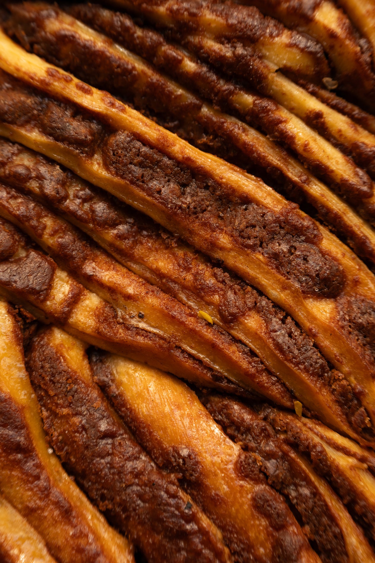 BABKA CAKE CANNELLE XXL